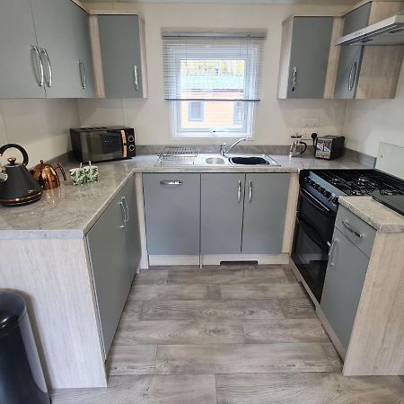 The Ceredigion - Plot 26, Woodlands Lodge Retreat, New Quay, West Wales Llanina Esterno foto