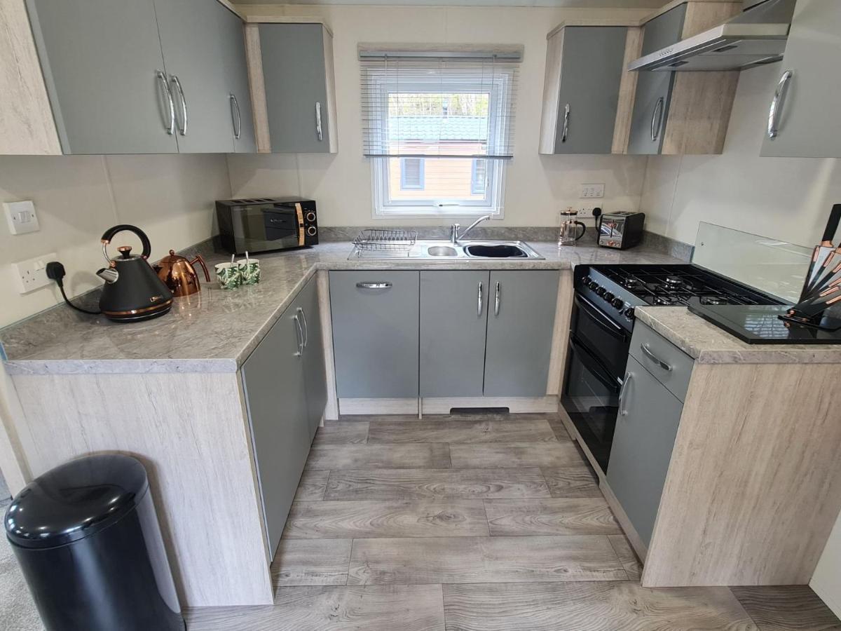 The Ceredigion - Plot 26, Woodlands Lodge Retreat, New Quay, West Wales Llanina Esterno foto
